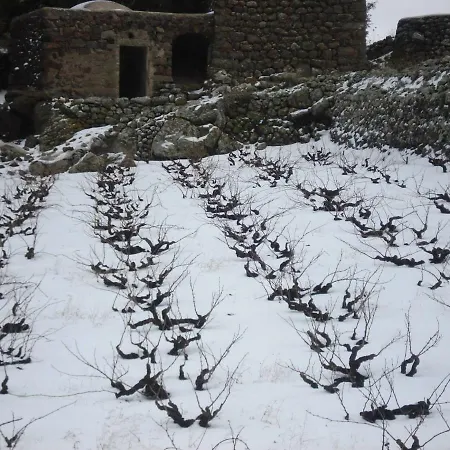 Dammuso Ziloto Dom wakacyjny *