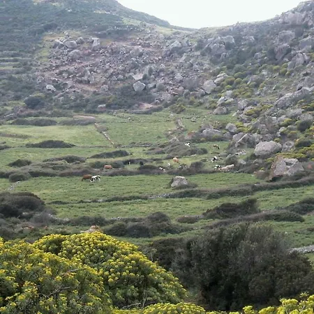 Dom wakacyjny Dammuso Ziloto *